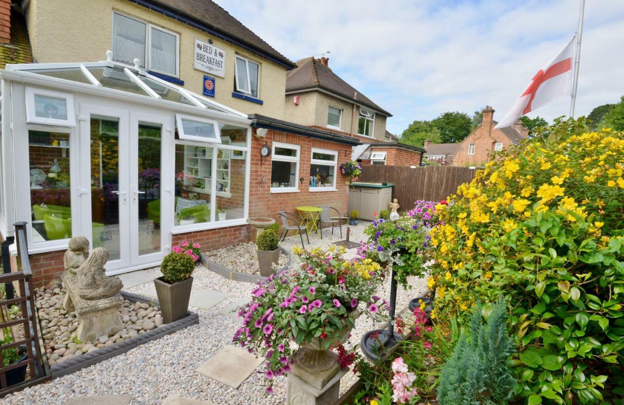 Rosedale Bed And Breakfast Lyndhurst Buitenkant foto